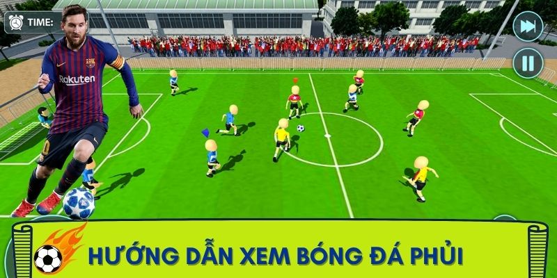 da-phui-la-gi-huong-dan-xem